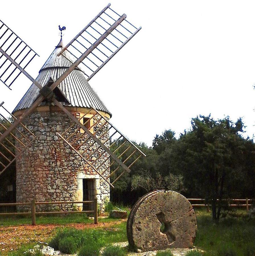un pied dans la forêt La Capelle-et-Masmolene Extérieur photo