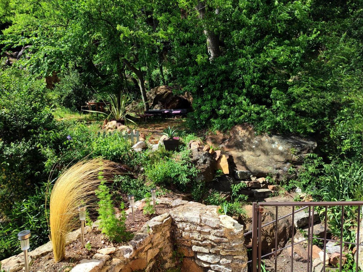 un pied dans la forêt La Capelle-et-Masmolene Extérieur photo