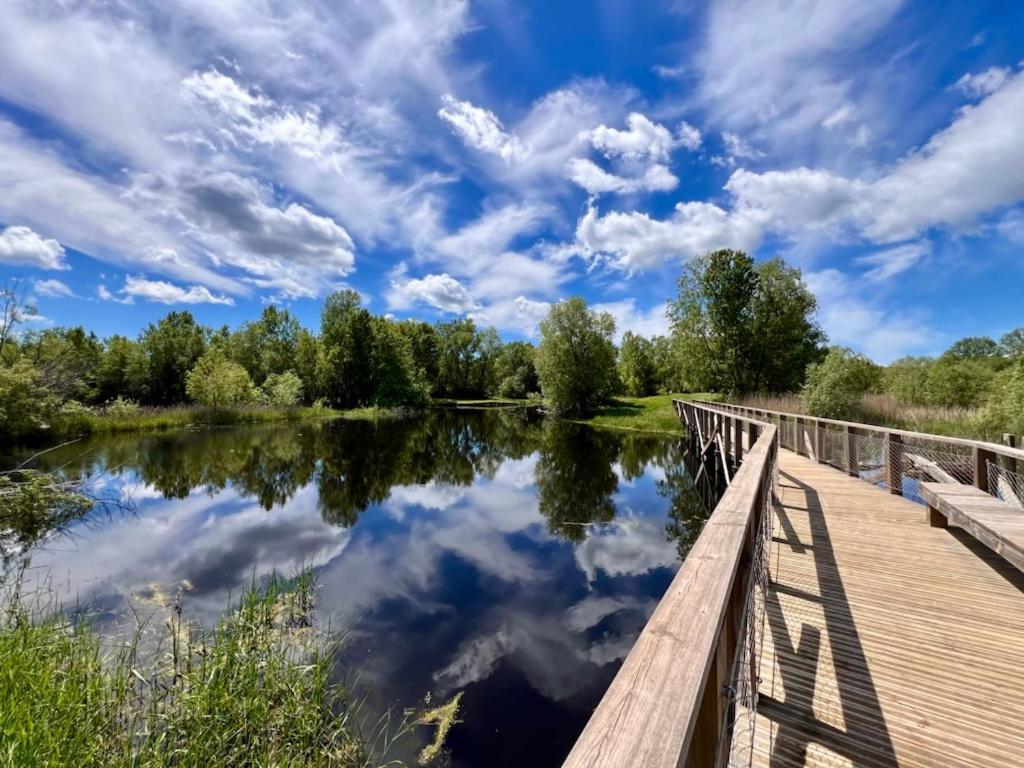un pied dans la forêt La Capelle-et-Masmolene Extérieur photo